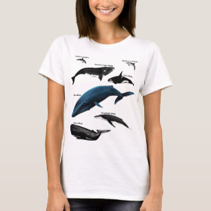 WALDAGEN T-SHIRT