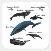 WALDAGEN VIERKANTE STICKER (Voorkant)