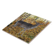 Waldbewohner Tegeltje (Zijkant)