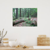 Walden Forest Poster (Keuken)