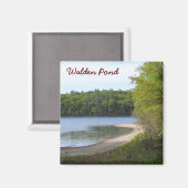 Walden Pond, Concord, MA Magneet (Voorkant / Achterkant)