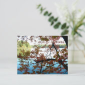 Walden Pond door Autumn Leaves Briefkaart (Staand voorkant)