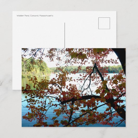 Walden Pond door Autumn Leaves Briefkaart (Voorkant / Achterkant)