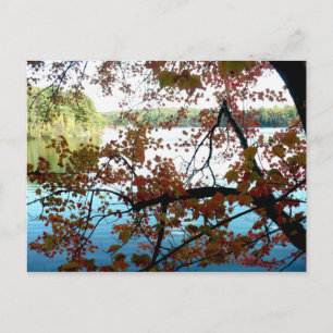 Walden Pond door Autumn Leaves Briefkaart