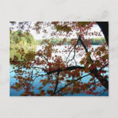 Walden Pond door Autumn Leaves Briefkaart (Voorkant)
