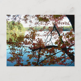 Walden Pond door Autumn Leaves Briefkaart