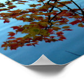 Walden Pond door Autumn Leaves Poster (Hoek)