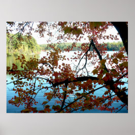 Walden Pond door Autumn Leaves Poster