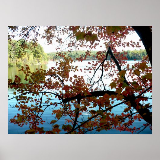 Walden Pond door Autumn Leaves Poster (Voorkant)