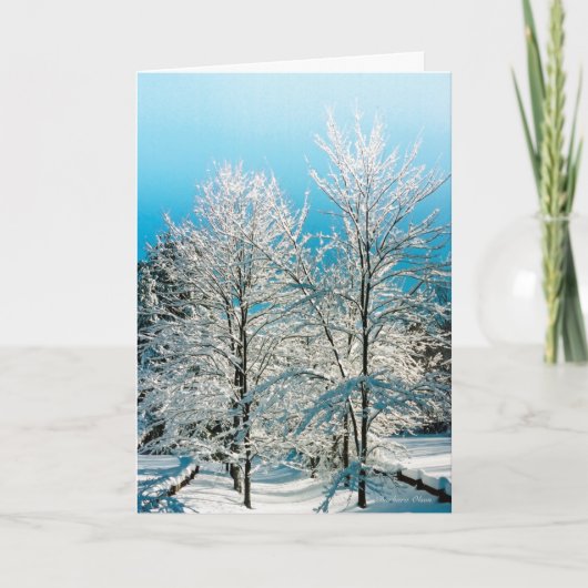 Walden Pond Feestdagen Kaart (Voorkant)