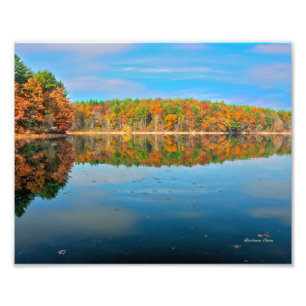 Walden Pond foto afdrukken