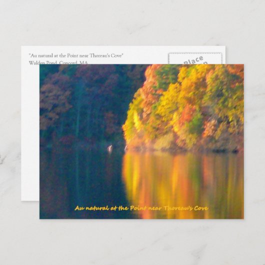 Walden Pond herfstblad Briefkaart (Voorkant / Achterkant)