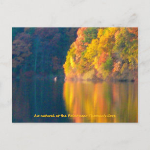 Walden Pond herfstblad Briefkaart