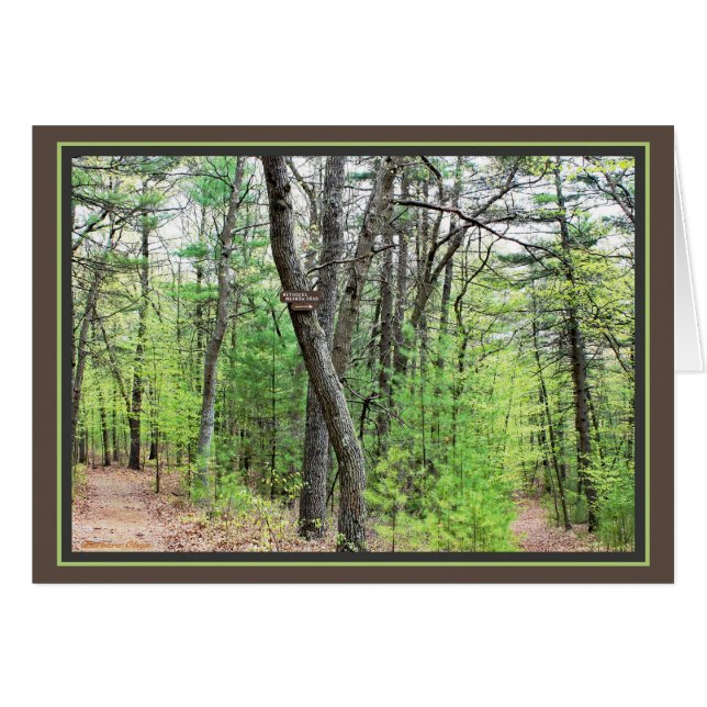 Walden Pond: Het opslaan door de bossen (Voorkant Horizontaal)