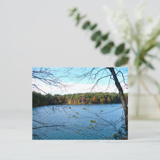 Walden Pond in de Herfst Briefkaart (Staand voorkant)