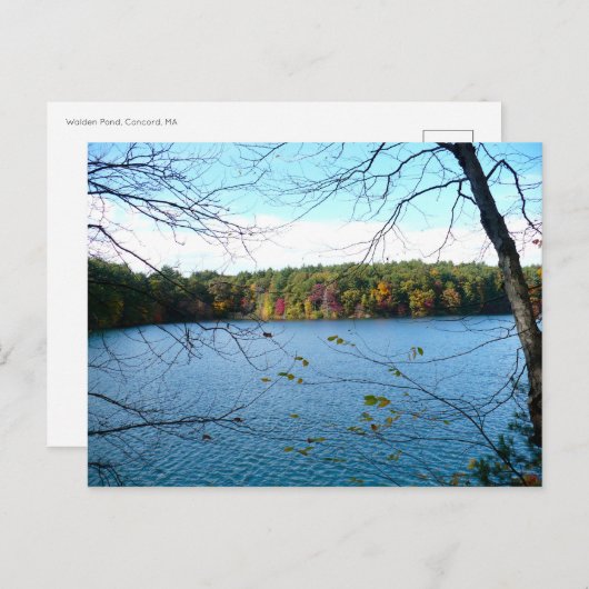 Walden Pond in de Herfst Briefkaart (Voorkant / Achterkant)