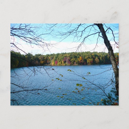 Walden Pond in de Herfst Briefkaart (Voorkant)