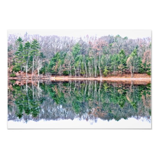 Walden Pond in de Herfst Foto Afdruk (Voorkant)