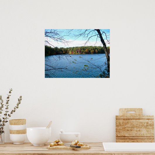 Walden Pond in de Herfst Poster (Keuken)