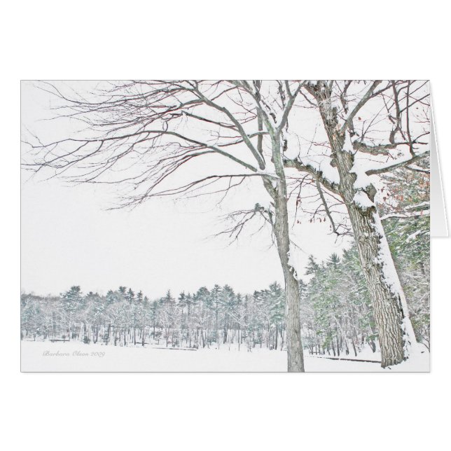 Walden Pond: In Zen (Voorkant Horizontaal)