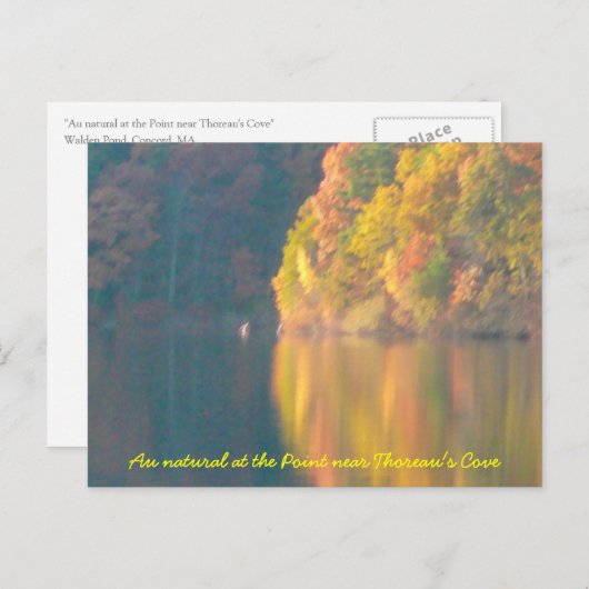 Walden Pond-kaart Briefkaart (Voorkant / Achterkant)