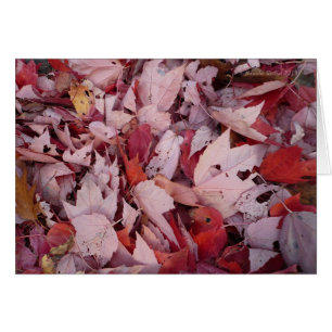 Walden Pond Leaves