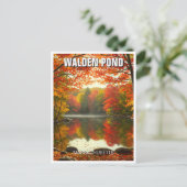 Walden Pond Massachusetts Reizen Briefkaart (Staand voorkant)