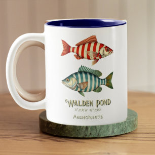 Walden Pond Massachusetts vis Mok