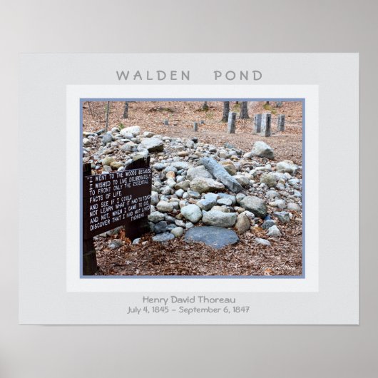 Walden Pond Poster (Voorkant)