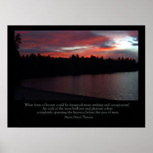 Walden Pond Poster - Liefde Nota over de hemel