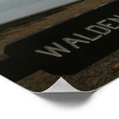 Walden Pond Poster - Slachtoffer (Hoek)