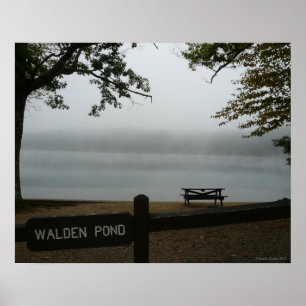 Walden Pond Poster - Slachtoffer