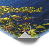 Walden Pond Print (Hoek)