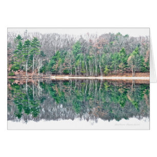 Walden Pond: Toon aan schoonheid met een serene mi