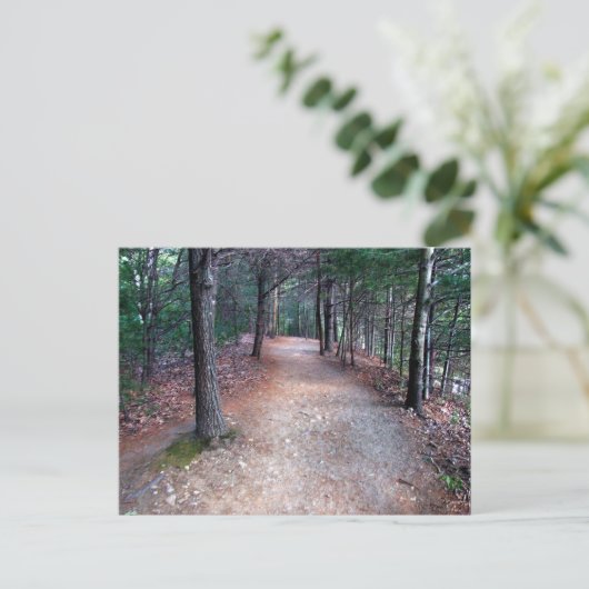 Walden Pond Trail Briefkaart (Staand voorkant)