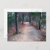 Walden Pond Trail Briefkaart (Voorkant / Achterkant)