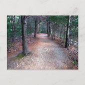 Walden Pond Trail Briefkaart (Voorkant)