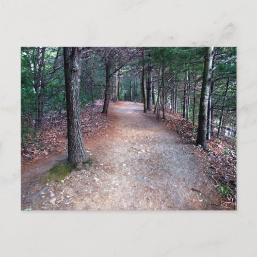 Walden Pond Trail Briefkaart (Voorkant)