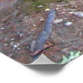 Walden Pond Trail Print (Hoek)