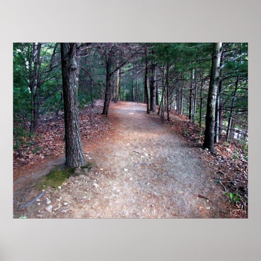 Walden Pond Trail Print (Voorkant)