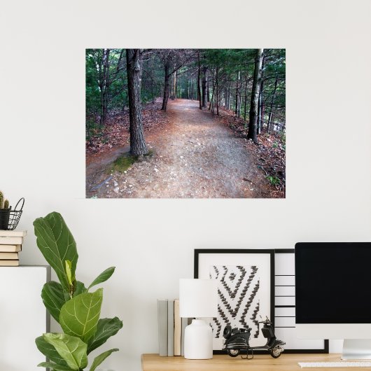 Walden Pond Trail Print (Thuiskantoor)