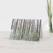 *Walden Pond: Vakantie- stilte - een universele sc