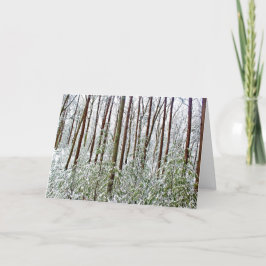 *Walden Pond: Vakantie- stilte - een universele sc Feestdagen Kaart