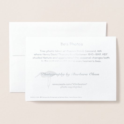 Walden Pond: Yuletide-groeten Folie Kaarten (Met envelop)