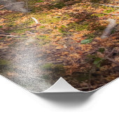 Waldimpression Foto Afdruk (Hoek)