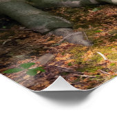 Waldimpression Perfect Poster (Hoek)