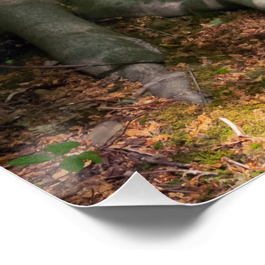 Waldimpression Perfect Poster (Hoek)