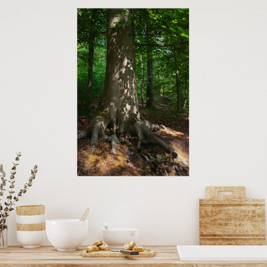 Waldimpression Poster (Keuken)