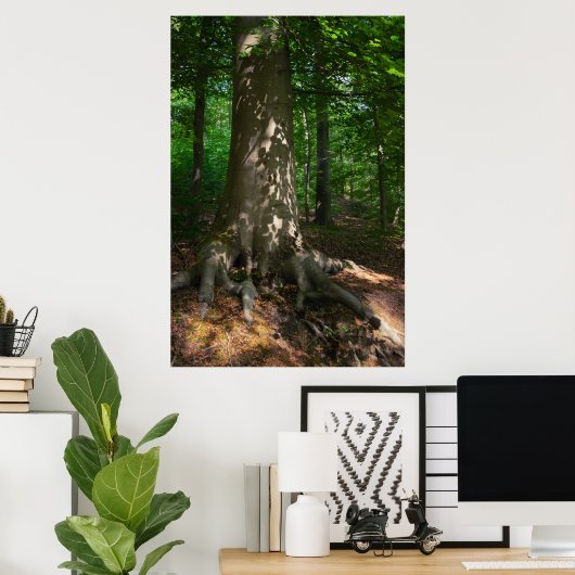 Waldimpression Poster (Thuiskantoor)
