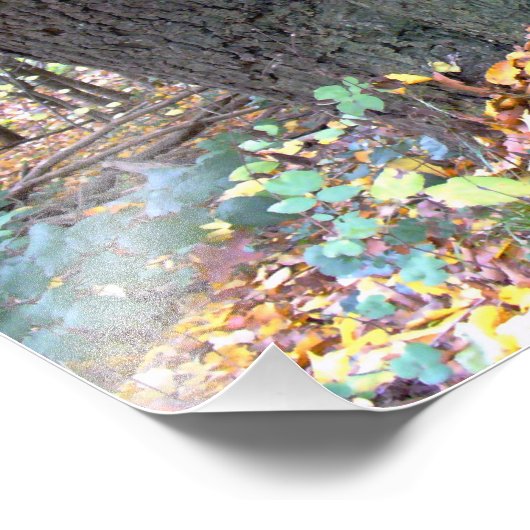 Waldmärchen Foto Afdruk (Hoek)